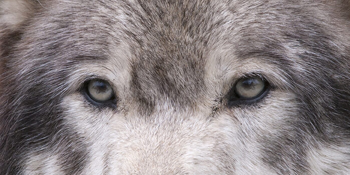Uncovering Your Alpha Audience image