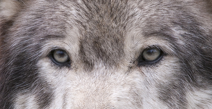 Uncovering Your Alpha Audience Uncovering Your Alpha Audience image